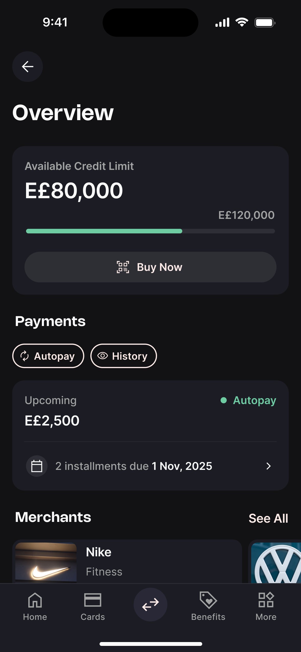 Loans overview